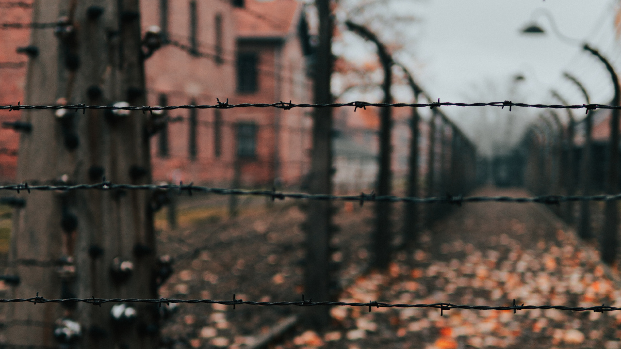 Árbol Desnudo Marrón Cerca Del Edificio de Hormigón Marrón Durante el Día. Wallpaper in 1280x720 Resolution
