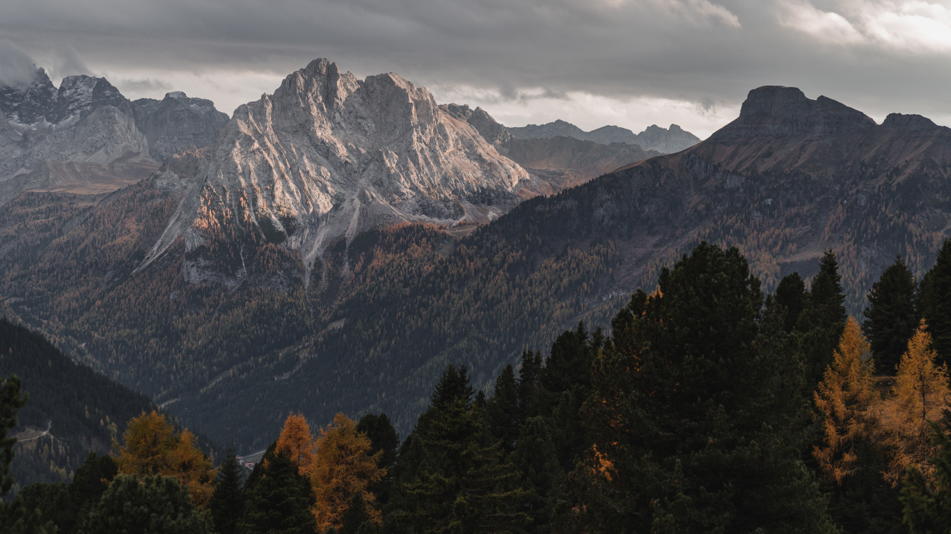 Linux, 平板电脑, 自然景观, 落叶松, 高地 壁纸 1366x768 允许