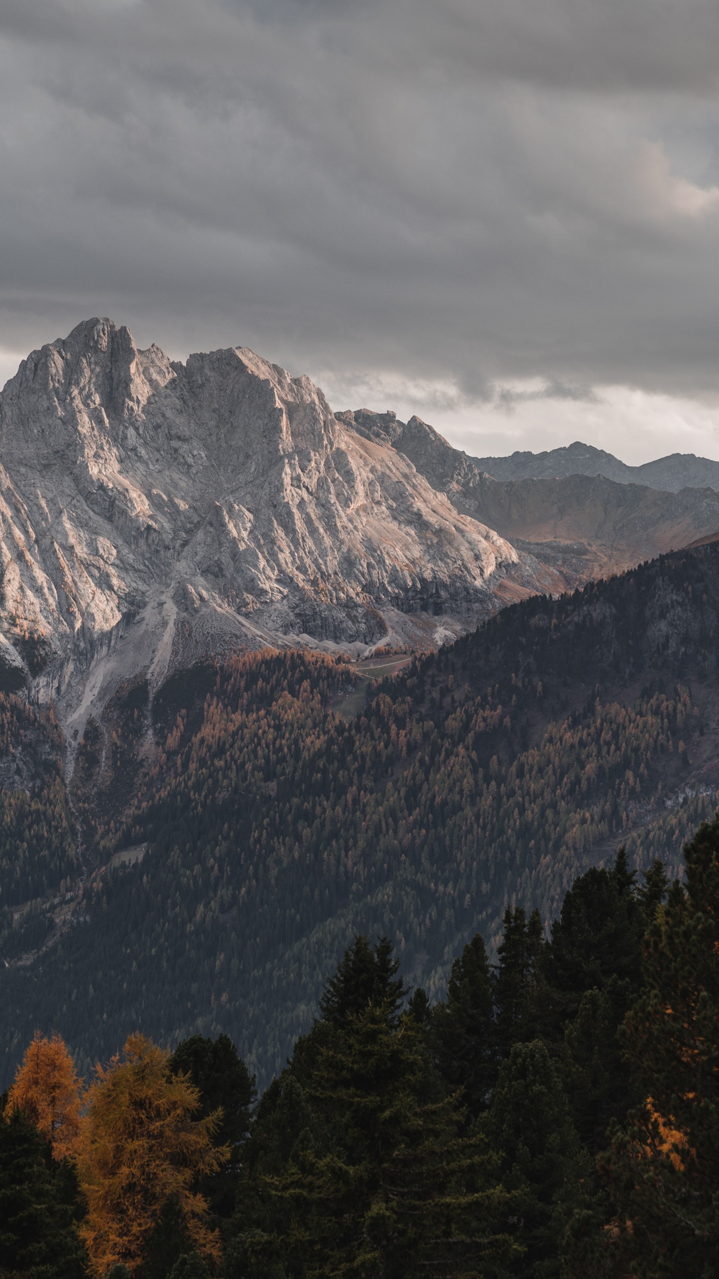 Zorin Os, Operating System, Linux, Tablet, Cloud. Wallpaper in 1440x2560 Resolution