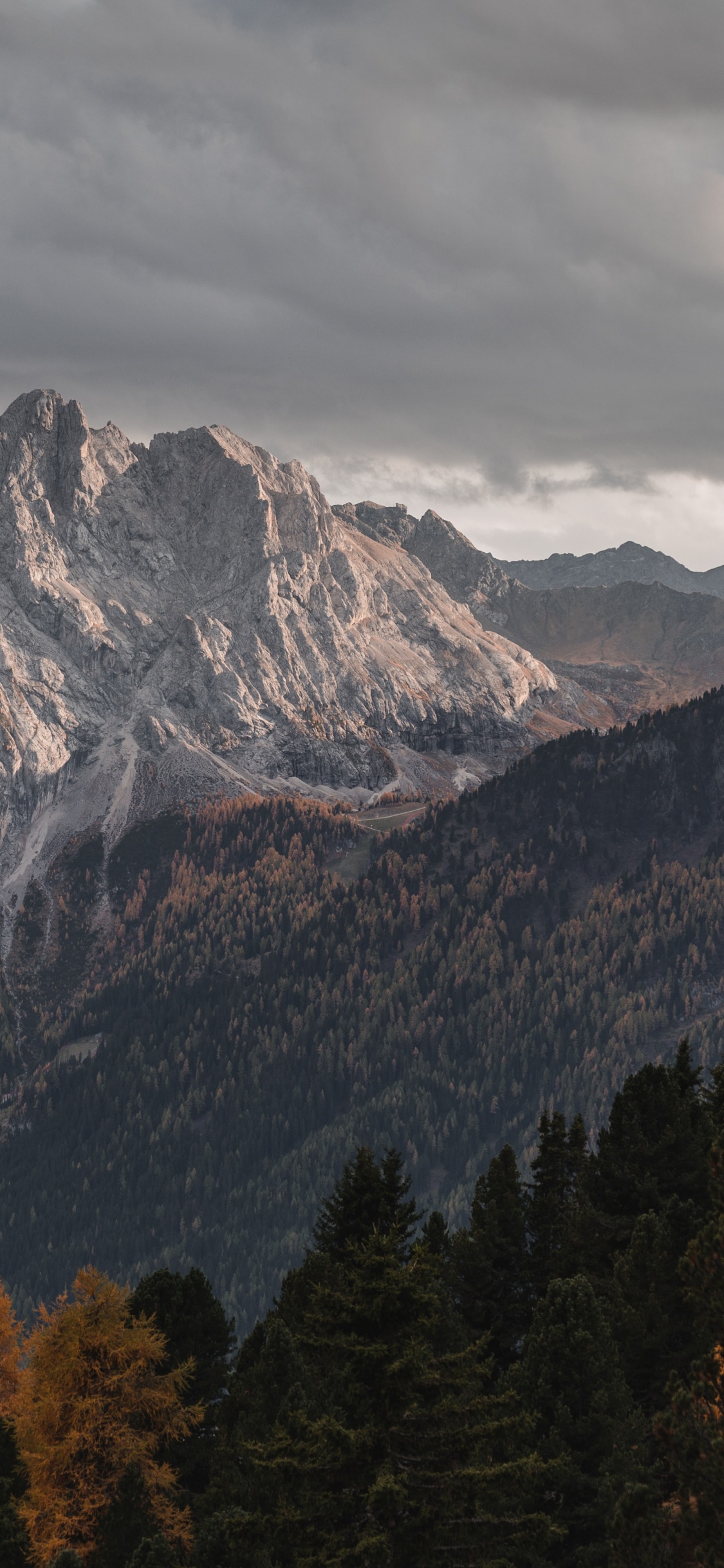 Zorin Os, Sistema Operativo, Linux, Tablet, Montaña. Wallpaper in 1125x2436 Resolution