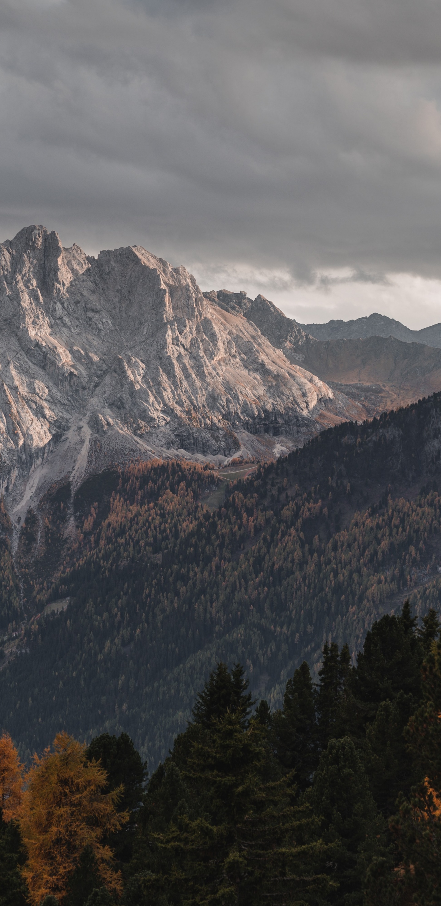 Zorin Os, Sistema Operativo, Linux, Tablet, Montaña. Wallpaper in 1440x2960 Resolution