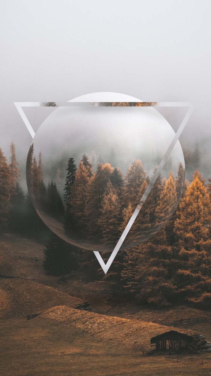 Acogedor Otoño, Entorno Natural, Sucursal, Paisaje Natural, la Luz Del Sol. Wallpaper in 720x1280 Resolution