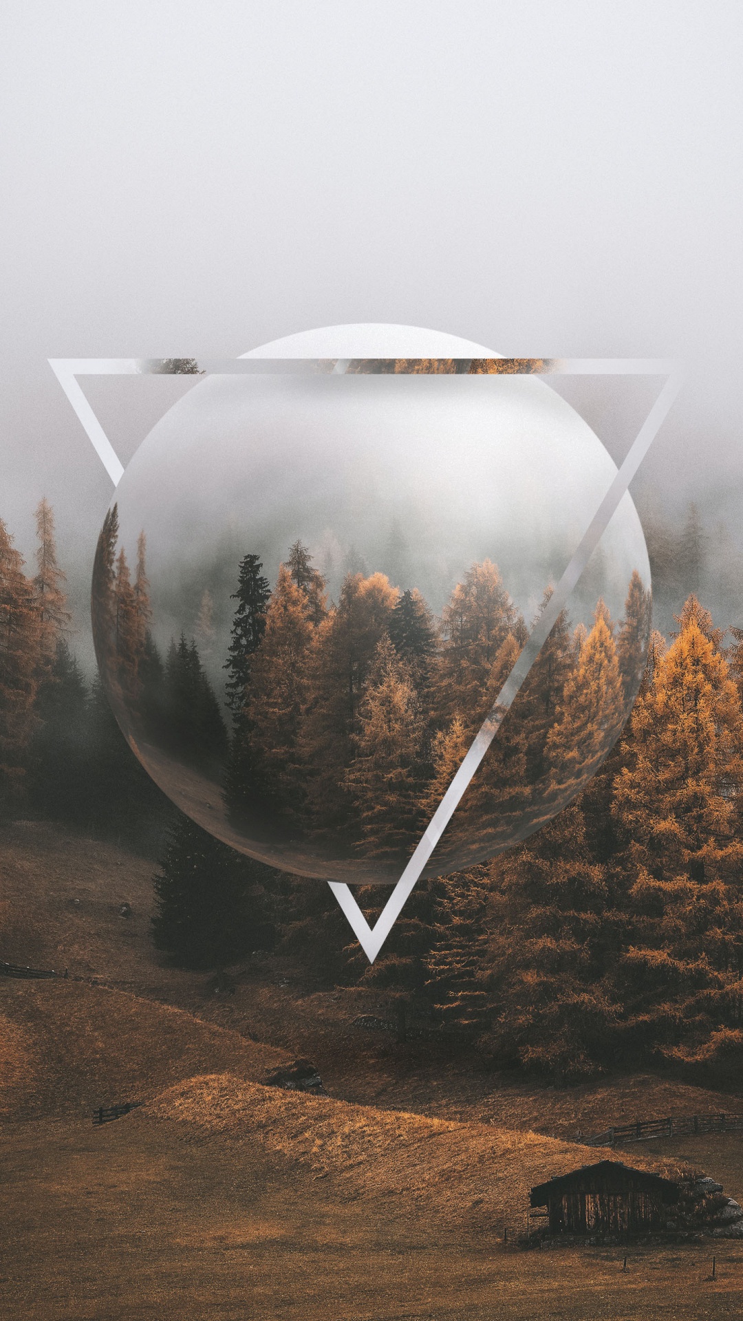 Cozy Autumn, Autumn, Plant, Natural Environment, Branch. Wallpaper in 1080x1920 Resolution