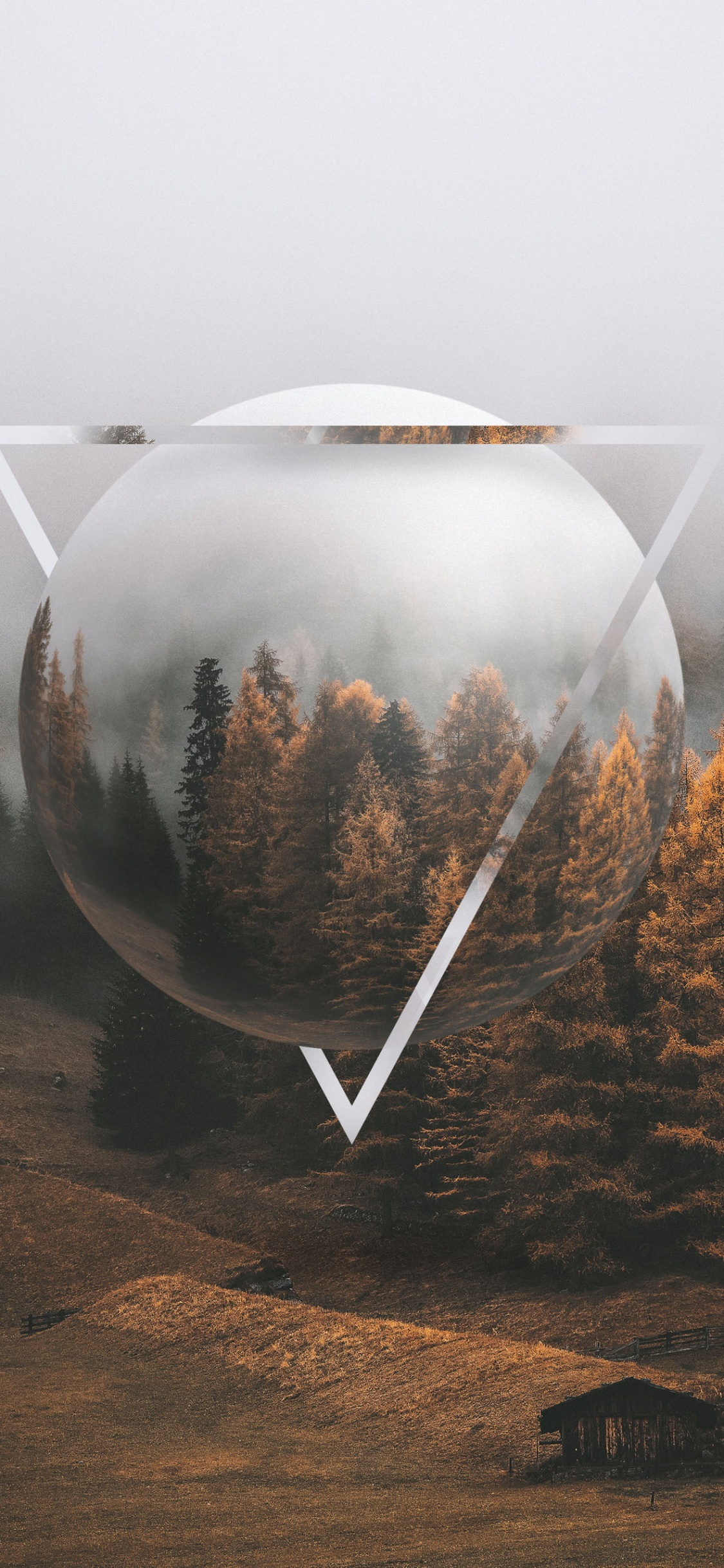 Cozy Autumn, Autumn, Plant, Natural Environment, Branch. Wallpaper in 1125x2436 Resolution