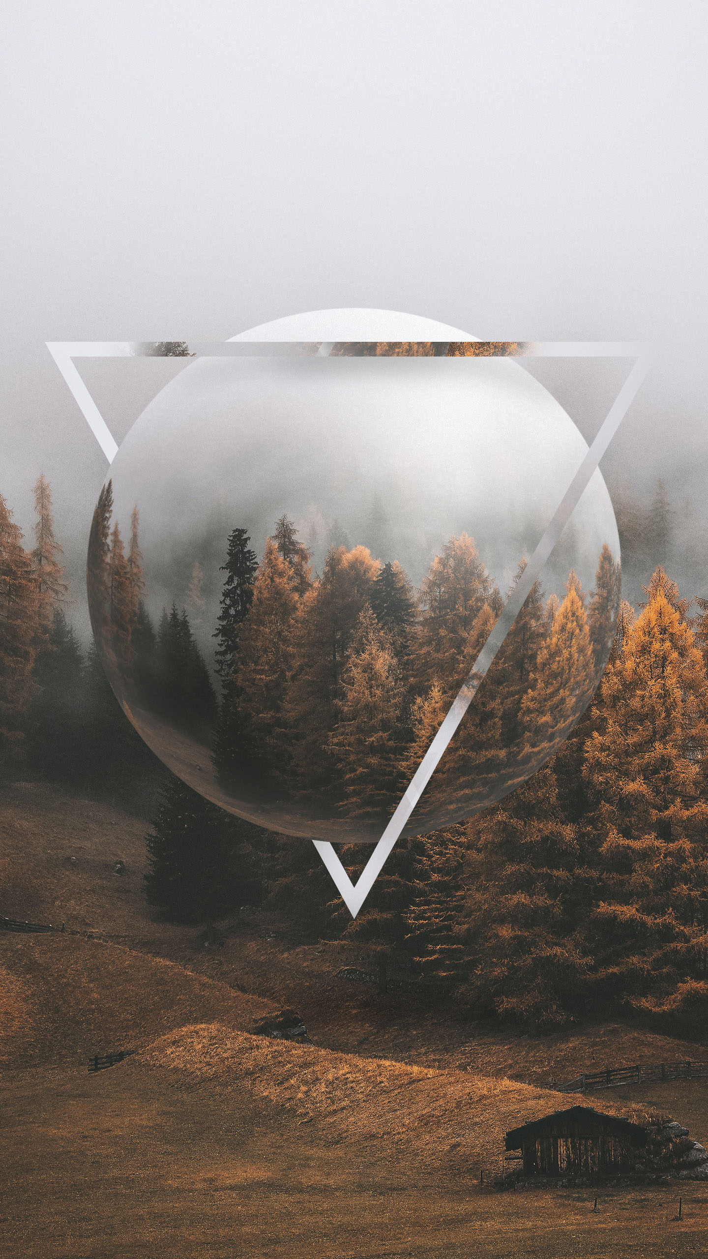 Cozy Autumn, Autumn, Plant, Natural Environment, Branch. Wallpaper in 1440x2560 Resolution