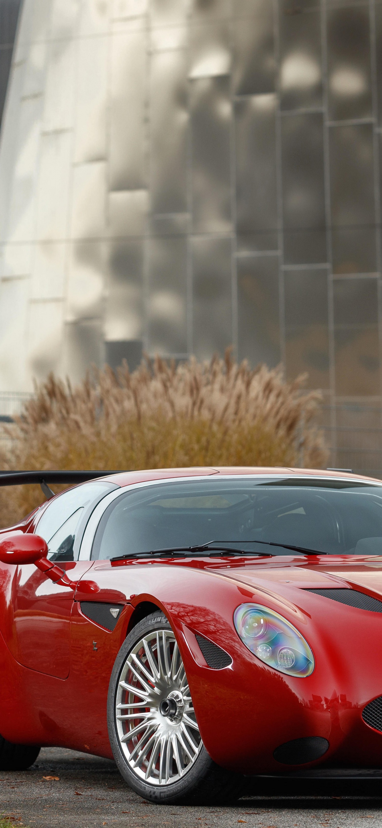 Monstruo Zagato Maserati, Maserati, Zagato, Maserati 450s, Maserati Golpe De Estado. Wallpaper in 1242x2688 Resolution