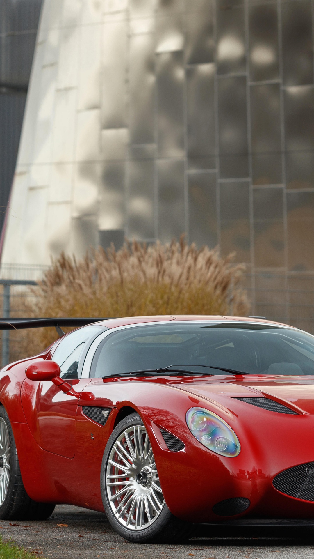 Zagato Monster Maserati, Maserati, Zagato, Maserati 450s, Maserati Coup. Wallpaper in 1080x1920 Resolution