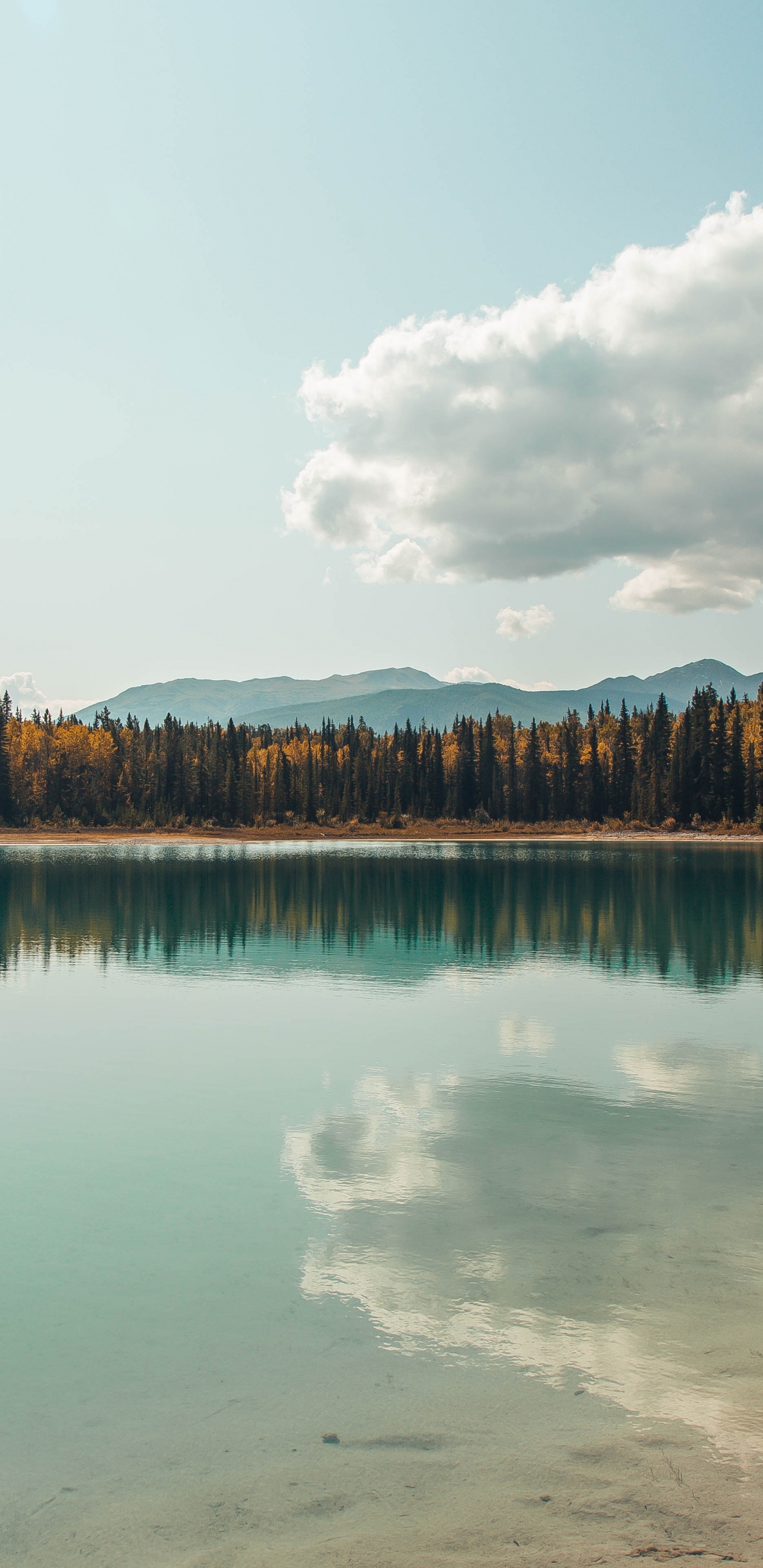 Gewässer, Natur, Reflexion, Wasser, Naturlandschaft. Wallpaper in 1440x2960 Resolution