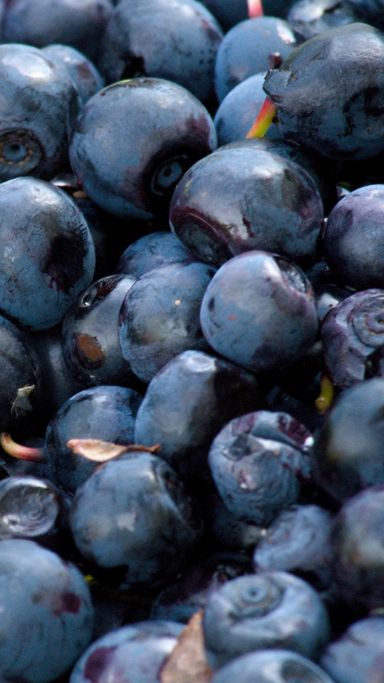 Blue Berries in Macro Shot. Wallpaper in 750x1334 Resolution