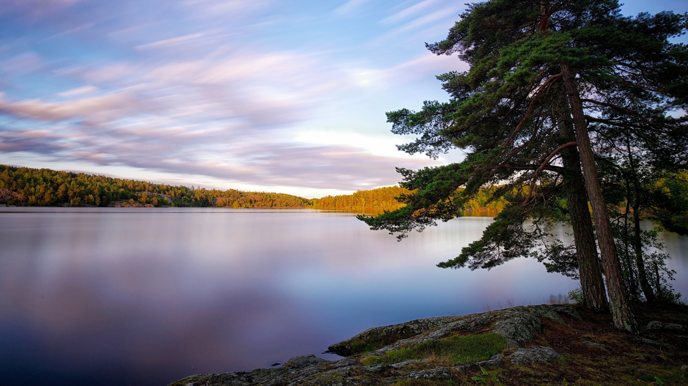Arbres Verts au Bord du Lac Sous Ciel Bleu Pendant la Journée. Wallpaper in 1366x768 Resolution
