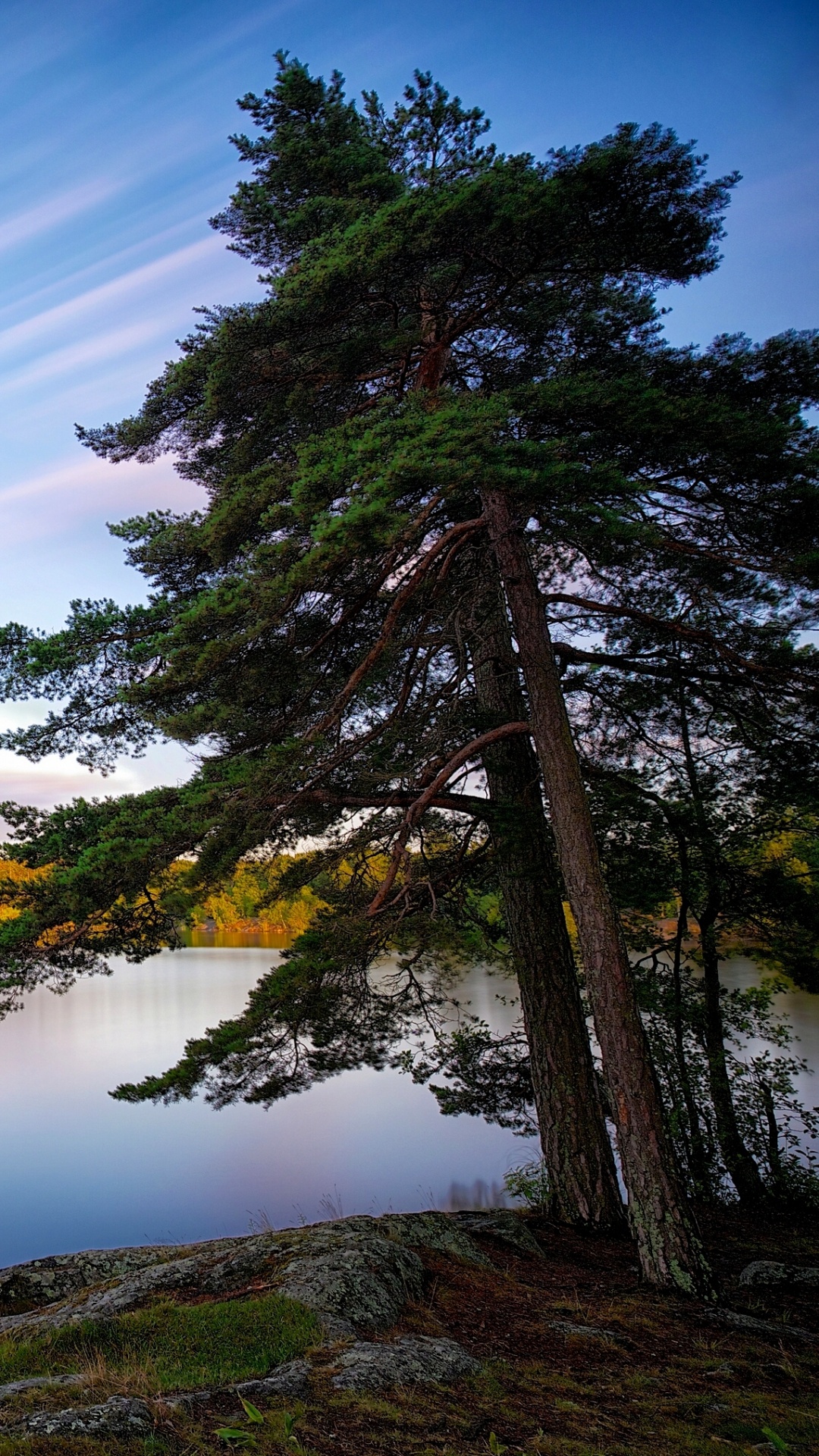 Green Trees Beside Lake Under Blue Sky During Daytime. Wallpaper in 1080x1920 Resolution