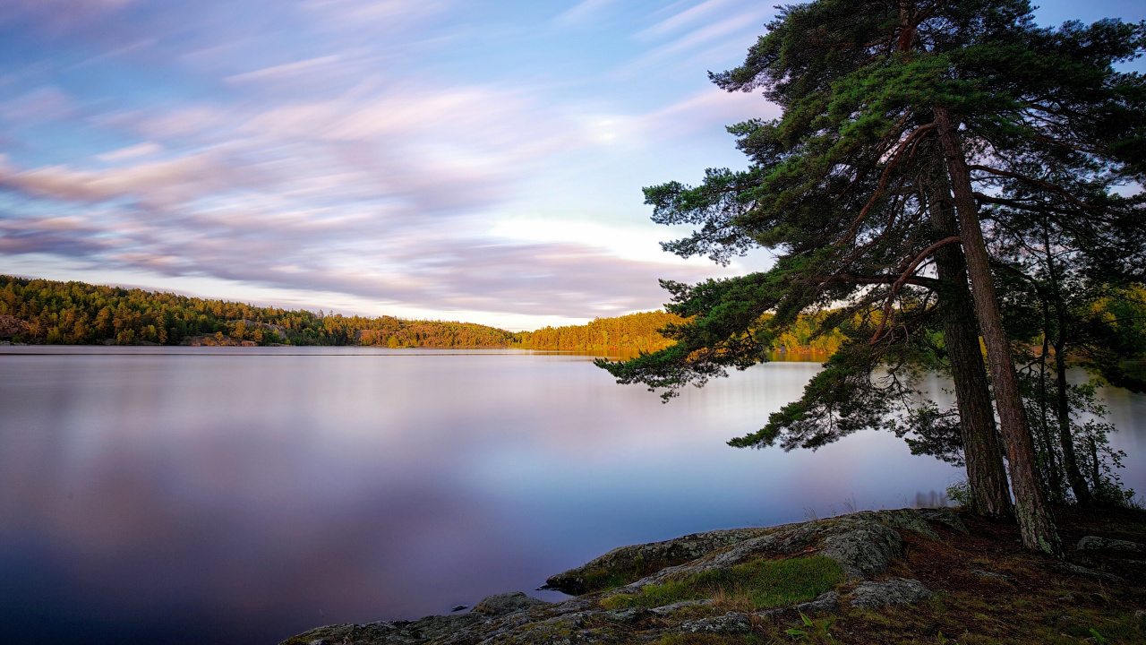 Green Trees Beside Lake Under Blue Sky During Daytime. Wallpaper in 1280x720 Resolution