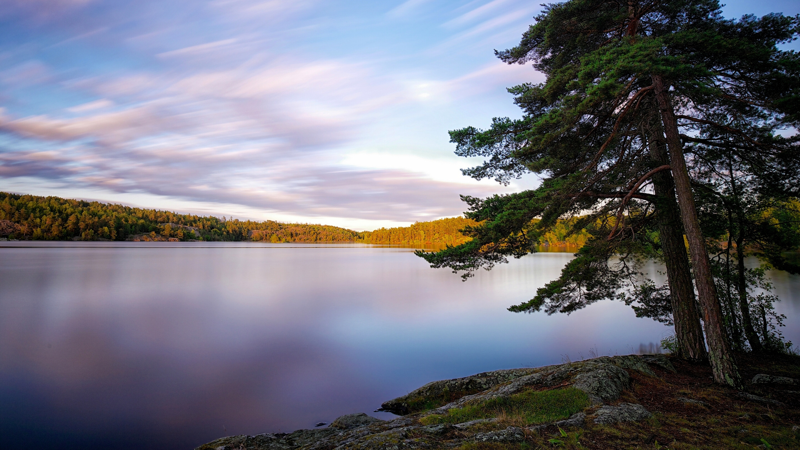 Green Trees Beside Lake Under Blue Sky During Daytime. Wallpaper in 2560x1440 Resolution