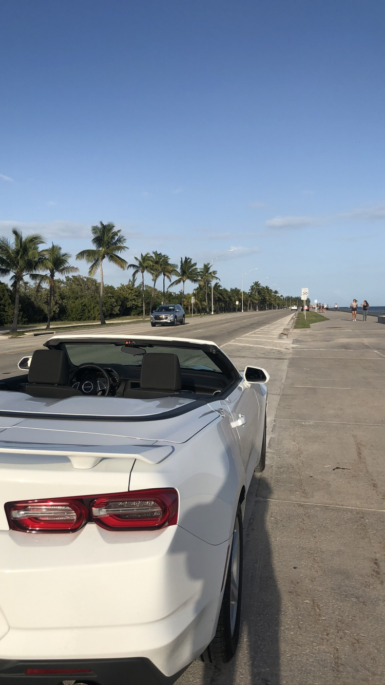 Chevrolet Camaro, King, Mid Size Car, Automotive Lighting, Automotive Exterior. Wallpaper in 750x1334 Resolution