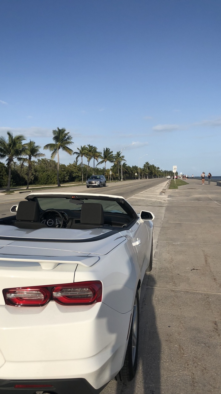 Chevrolet Camaro, König, Mitte Größe Auto, Automotive Lighting, Automotive Exterieur. Wallpaper in 720x1280 Resolution