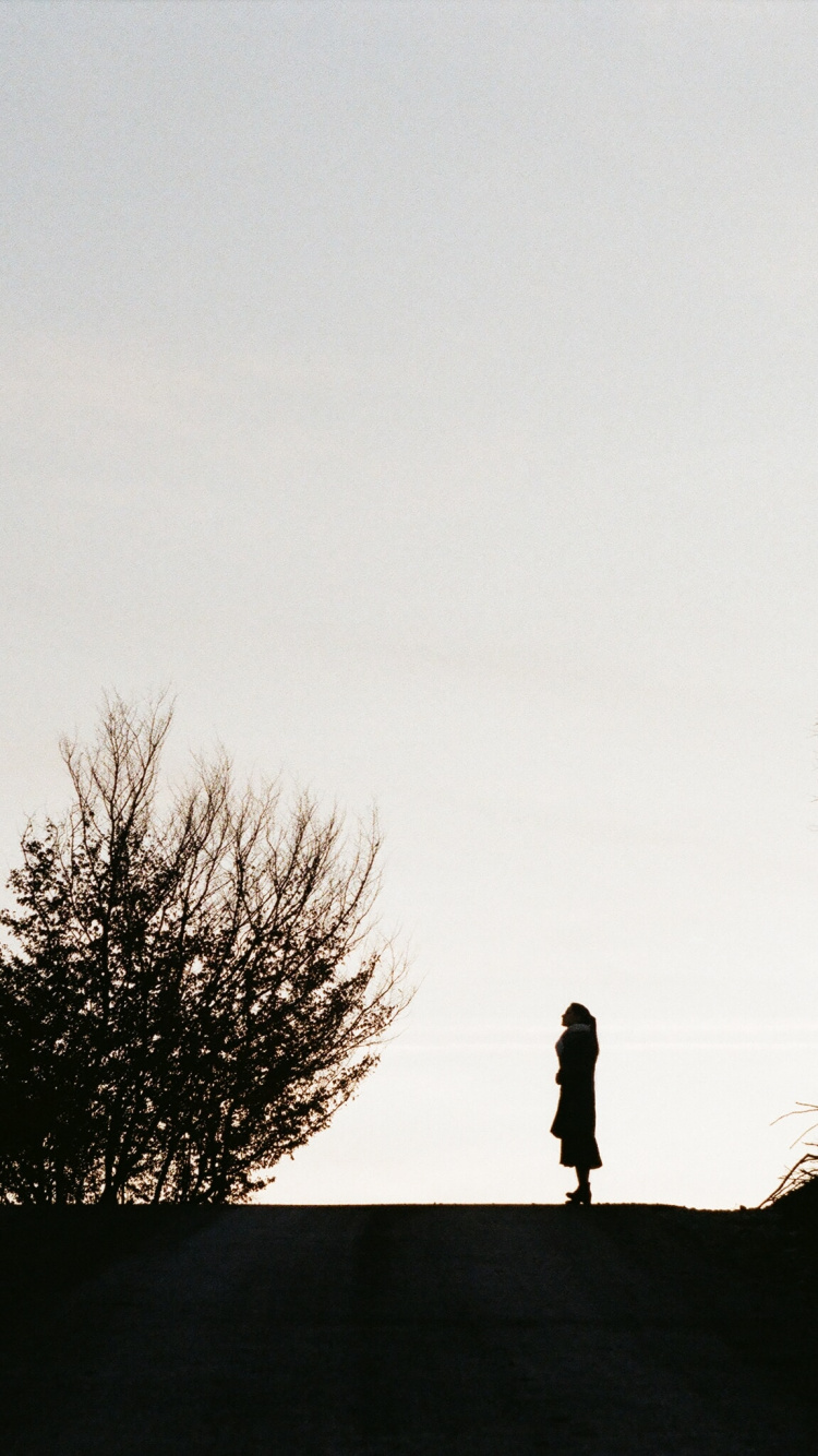 Silhouette D'homme Debout Sur un Rocher. Wallpaper in 750x1334 Resolution