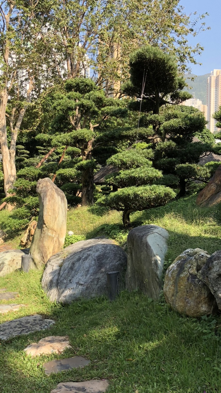 Hong Kong, Tree, Garden, Plant, Rock. Wallpaper in 720x1280 Resolution