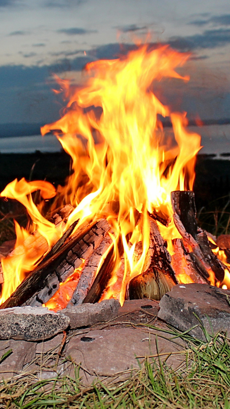 Burning Wood on Gray Rock. Wallpaper in 750x1334 Resolution