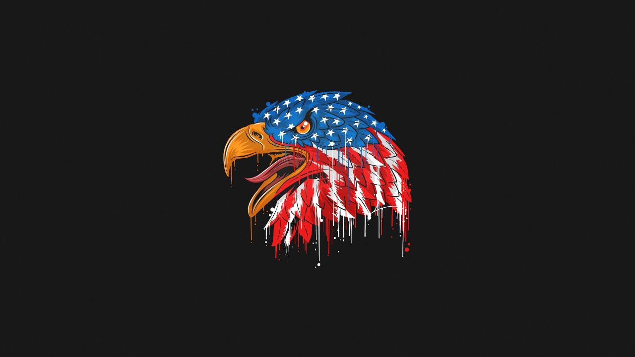 老鹰, 美国国旗的, 金刚鹦鹉, 股票的插图, 美国 壁纸 1280x720 允许