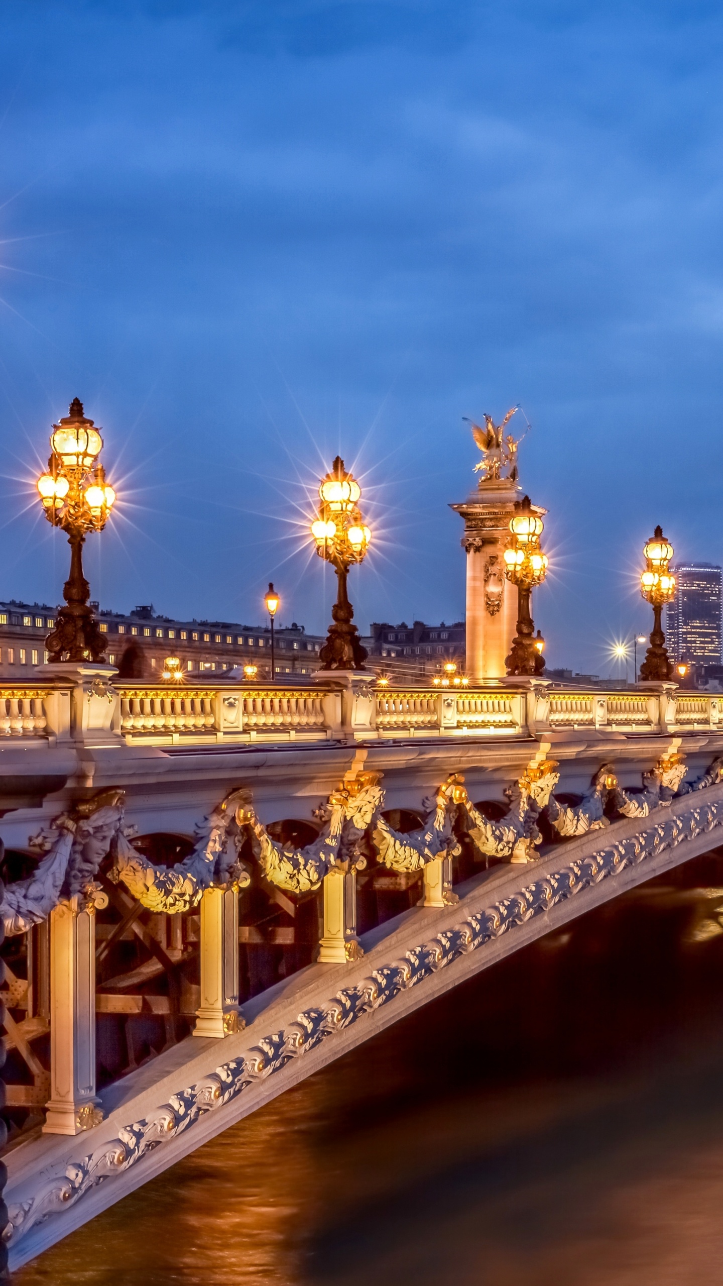 亚历山大三世桥, 艾菲尔铁塔, 塞纳河, 里程碑, 城市 壁纸 1440x2560 允许