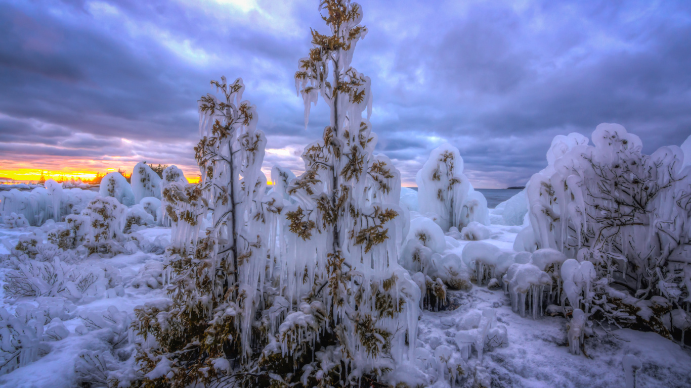 Snow Covered Trees Under Cloudy Sky During Daytime. Wallpaper in 1366x768 Resolution