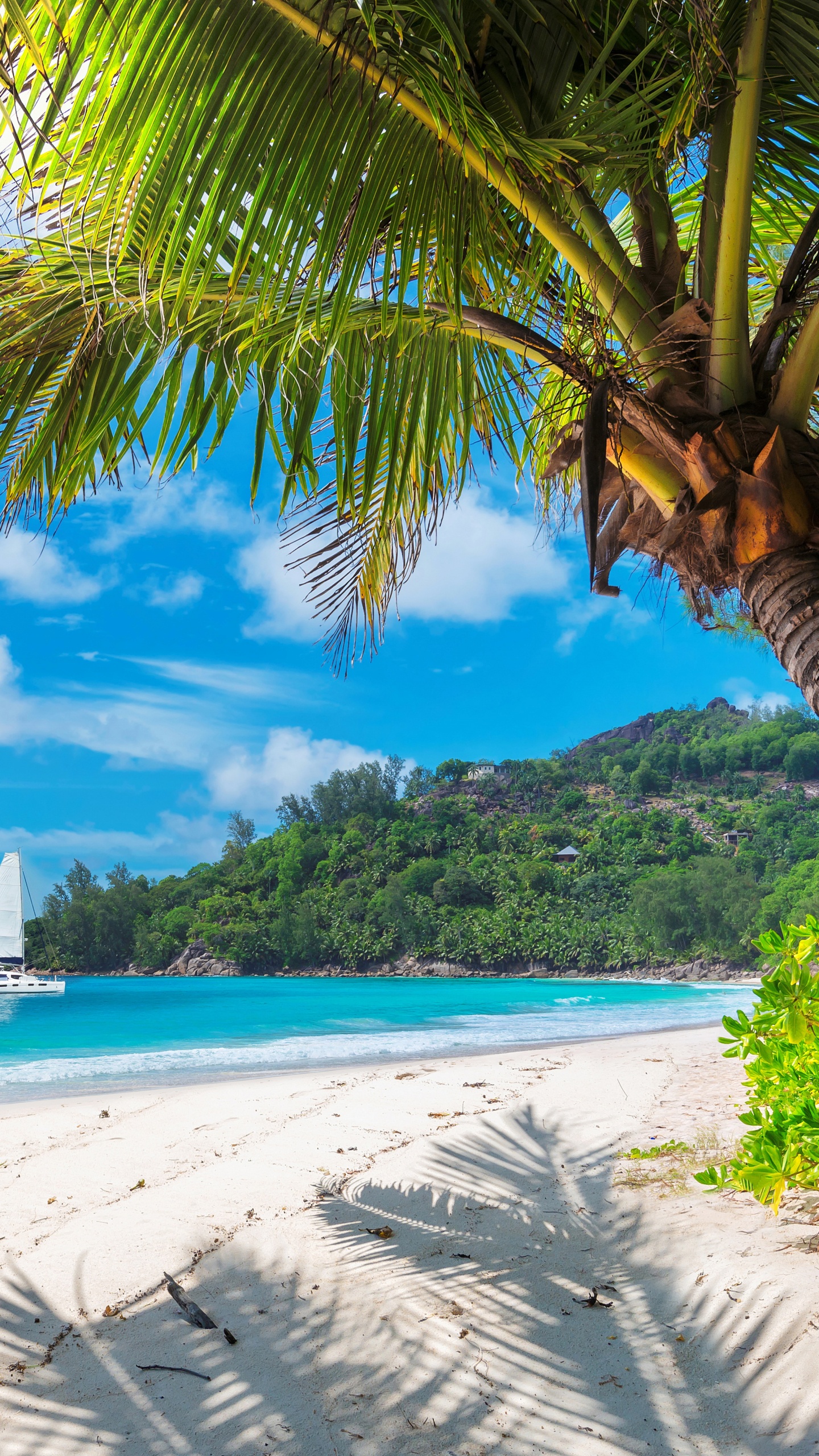 White Sailboat on Sea During Daytime. Wallpaper in 1440x2560 Resolution