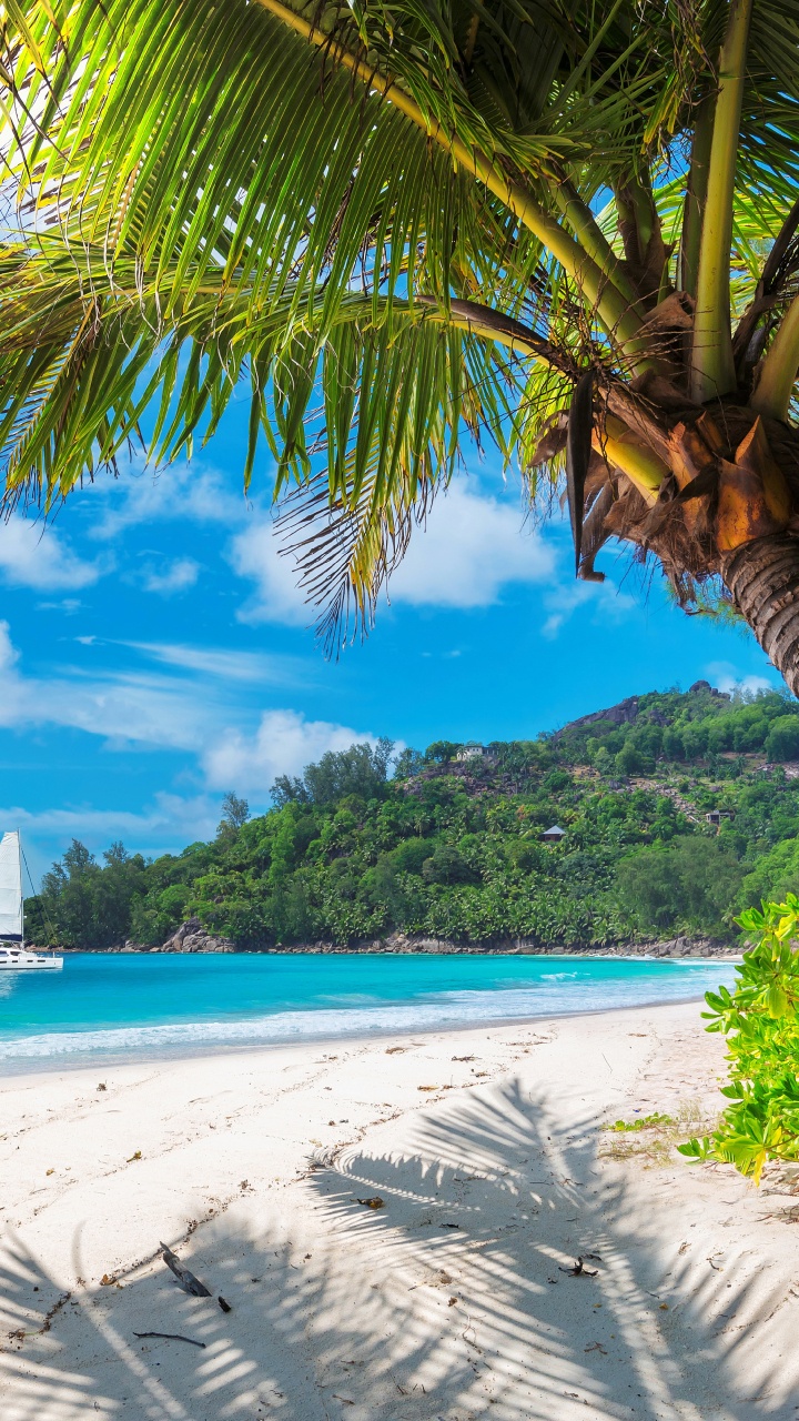 White Sailboat on Sea During Daytime. Wallpaper in 720x1280 Resolution