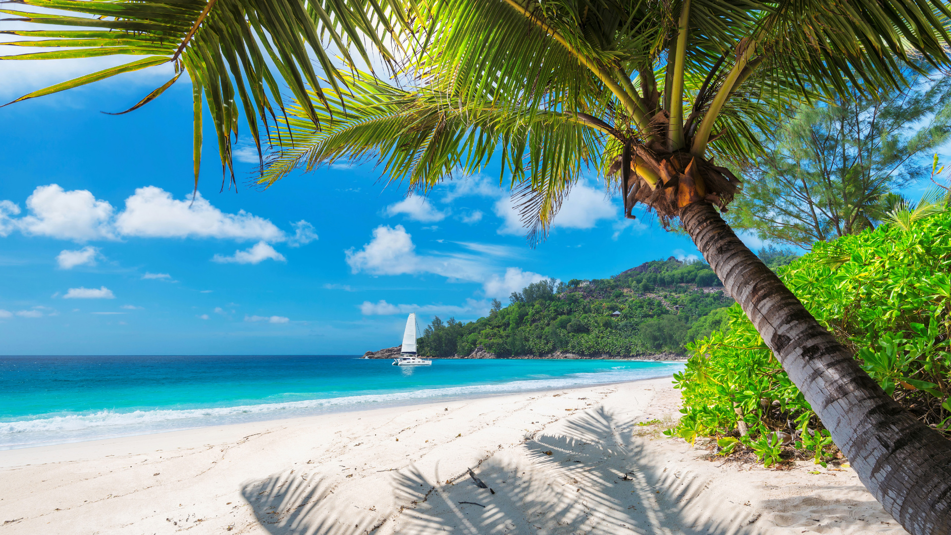 Velero Blanco en el Mar Durante el Día. Wallpaper in 1920x1080 Resolution