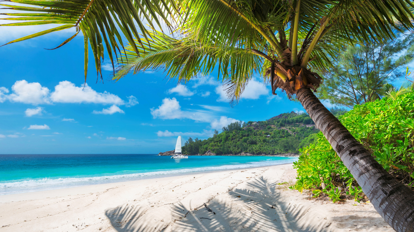 Weißes Segelboot Auf See Tagsüber. Wallpaper in 1366x768 Resolution