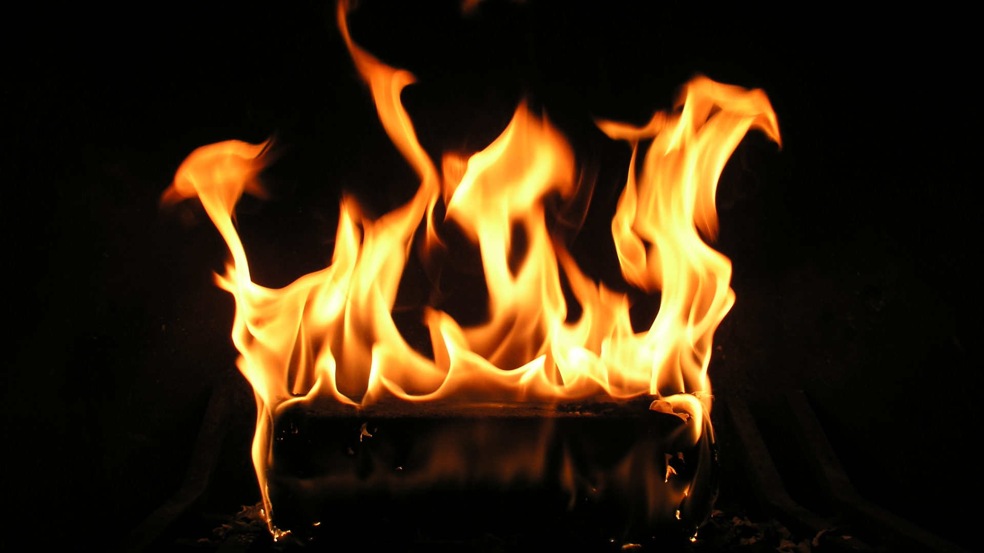 Brûler du Bois Sur un Feu de Camp. Wallpaper in 1920x1080 Resolution