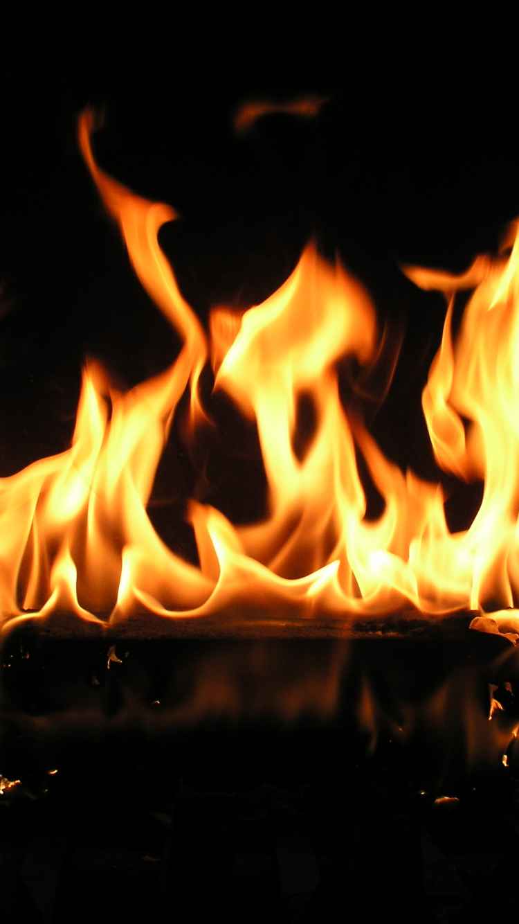 Brûler du Bois Sur un Feu de Camp. Wallpaper in 750x1334 Resolution