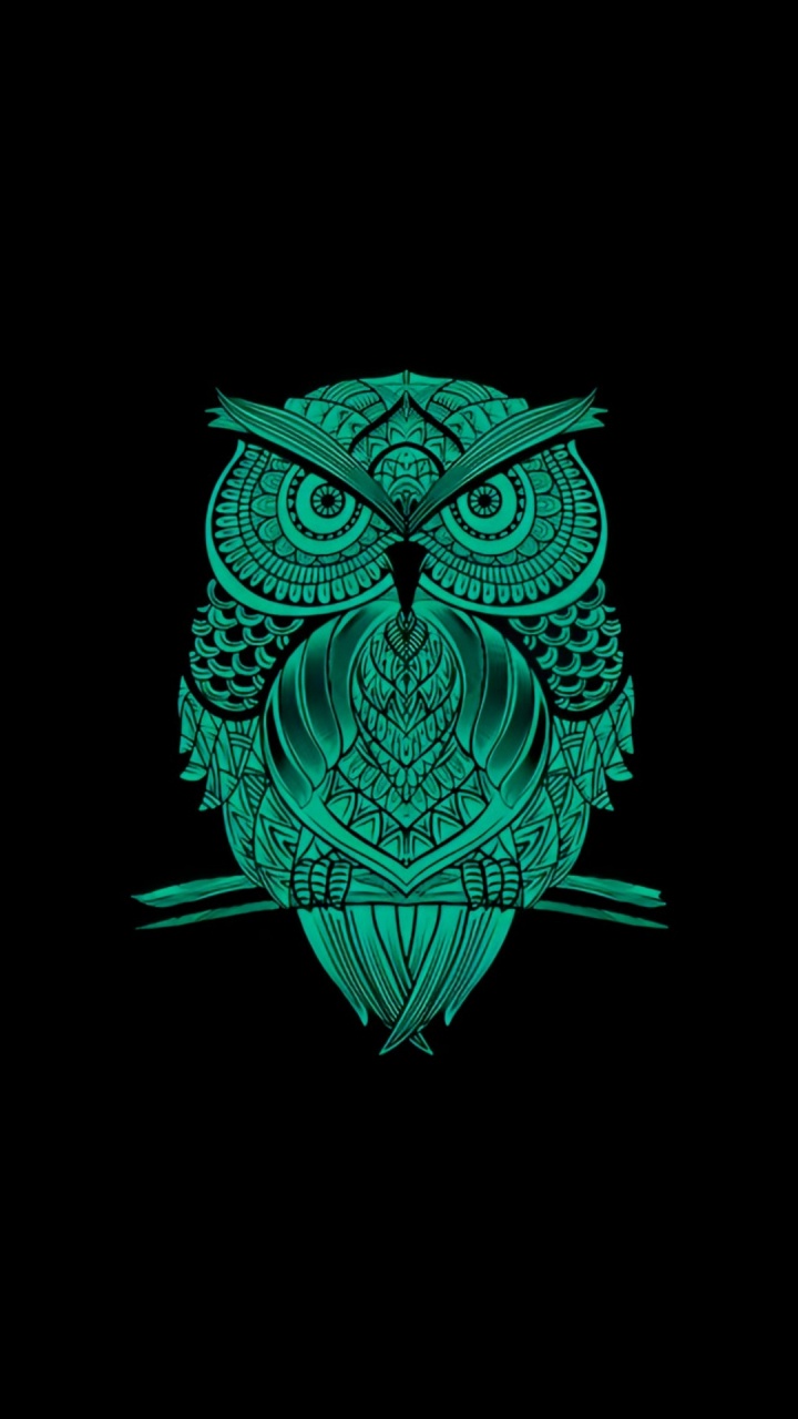 Visual Arts, Design, Gr, Teal, Felidae. Wallpaper in 720x1280 Resolution