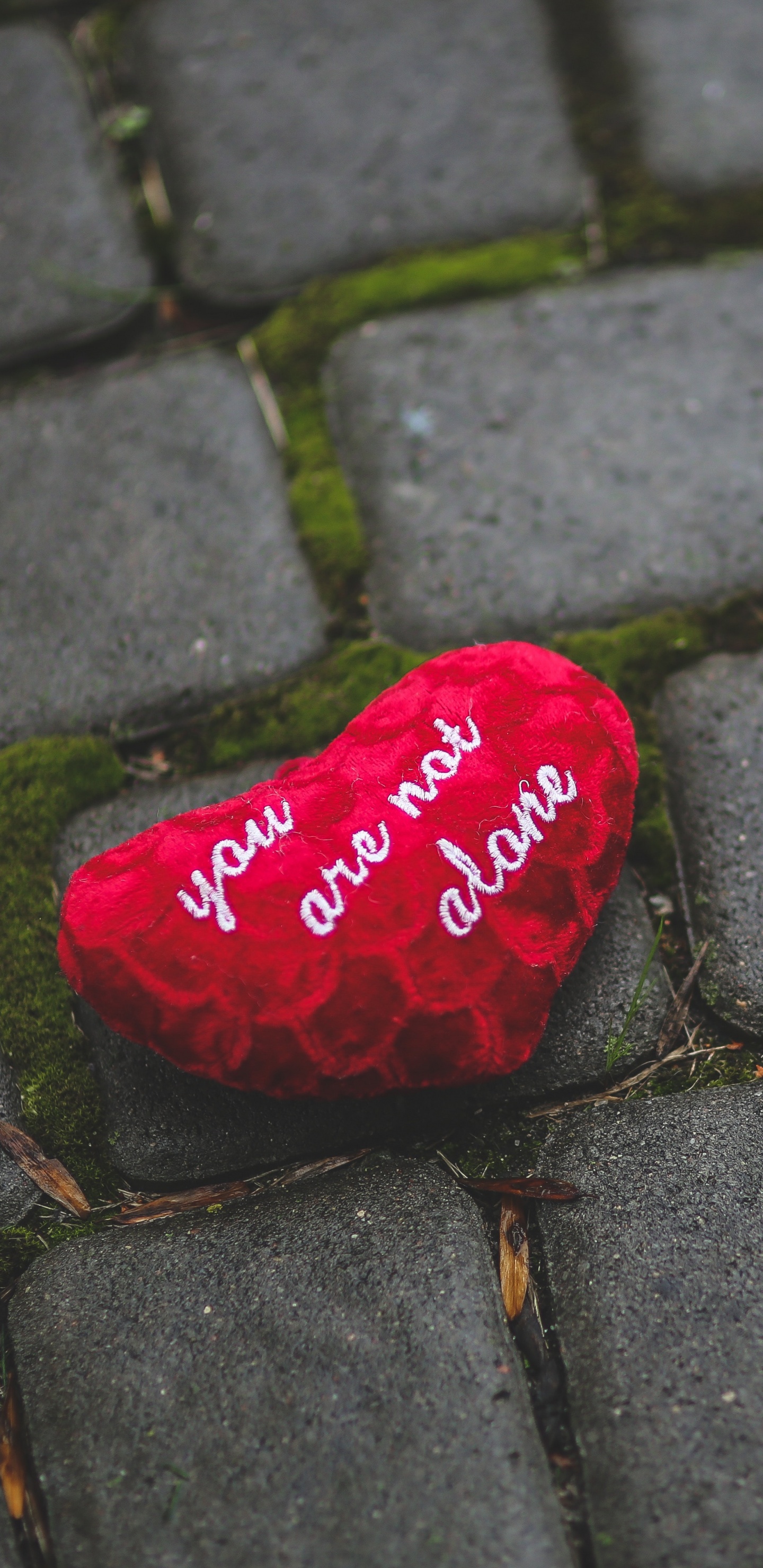 Ornement en Forme de Coeur Rouge Sur Sol en Béton Gris. Wallpaper in 1440x2960 Resolution