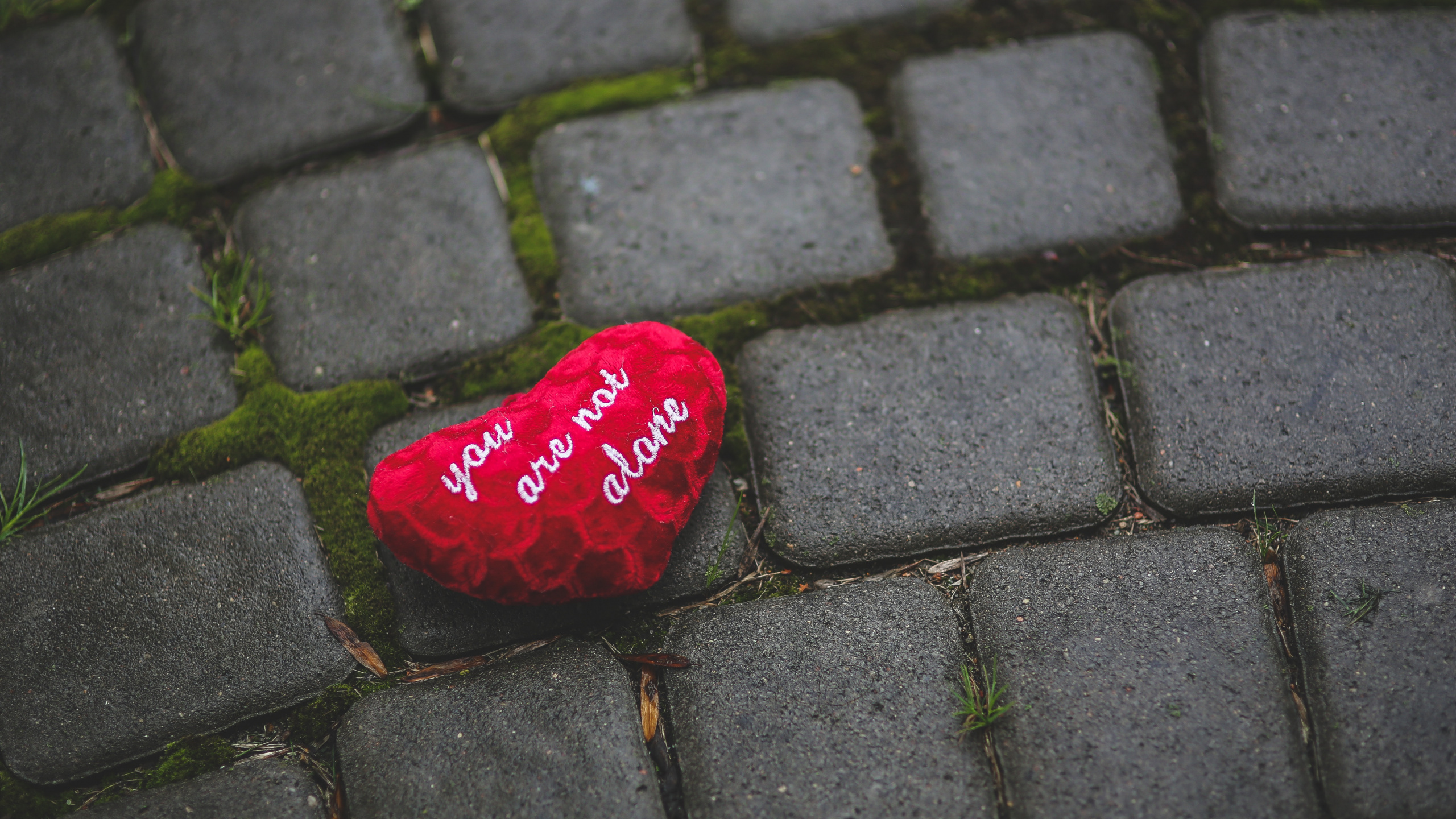 Red Heart Shaped Ornament on Gray Concrete Floor. Wallpaper in 2560x1440 Resolution