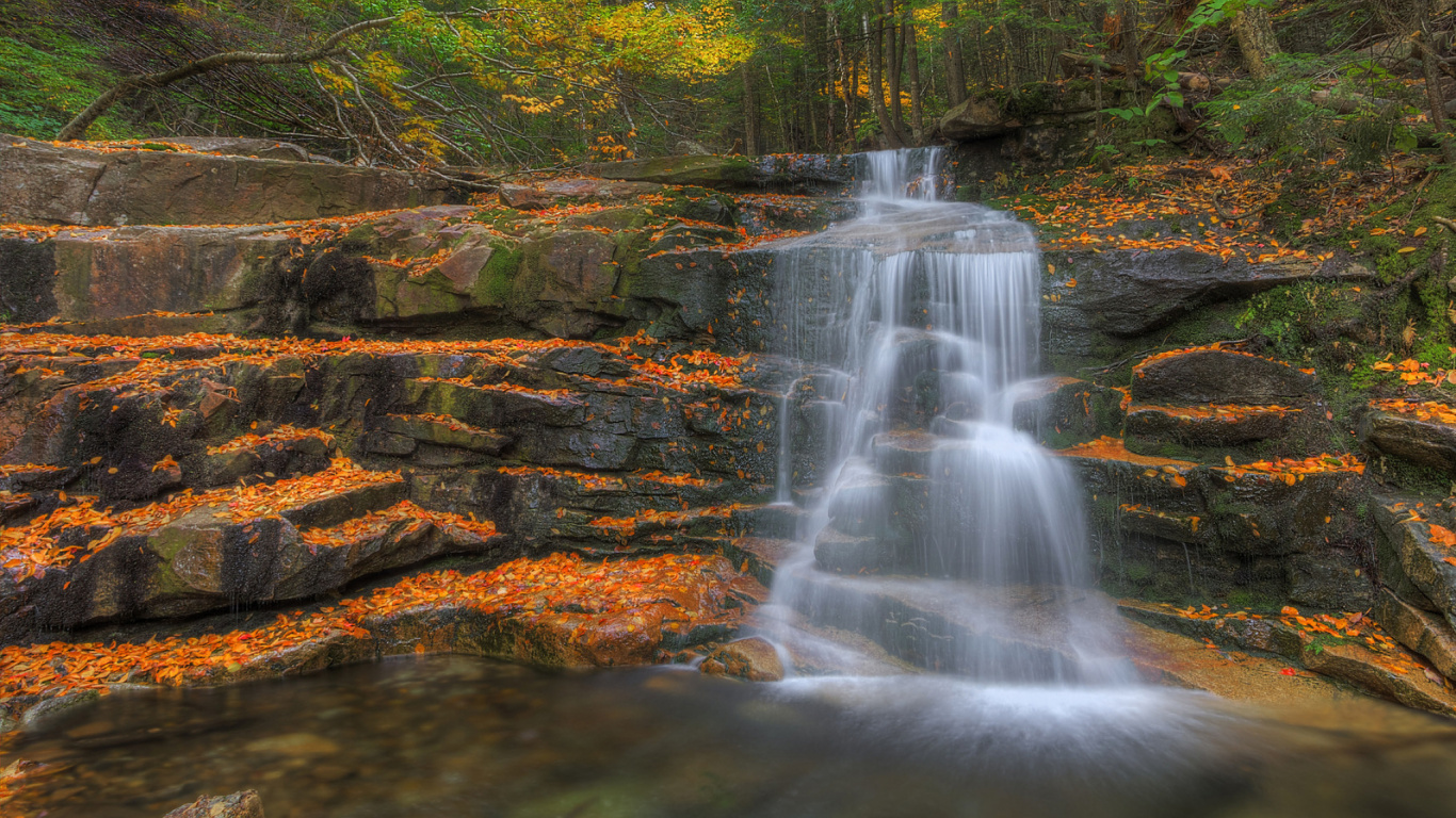 L'eau Tombe au Milieu de la Forêt. Wallpaper in 1366x768 Resolution