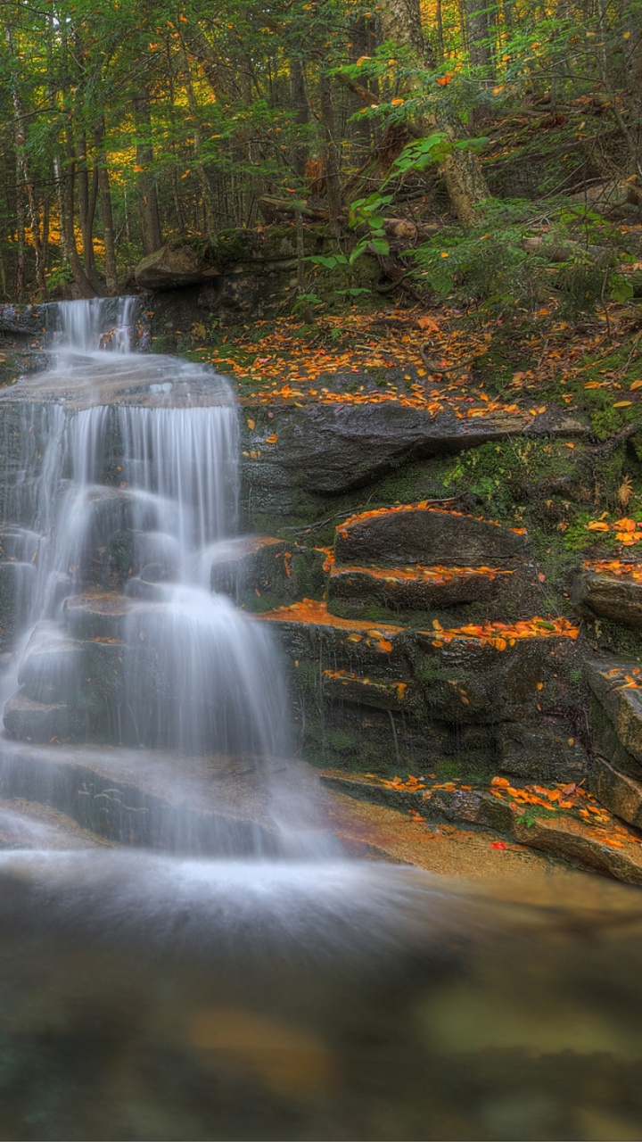 Water Falls in The Middle of The Forest. Wallpaper in 720x1280 Resolution
