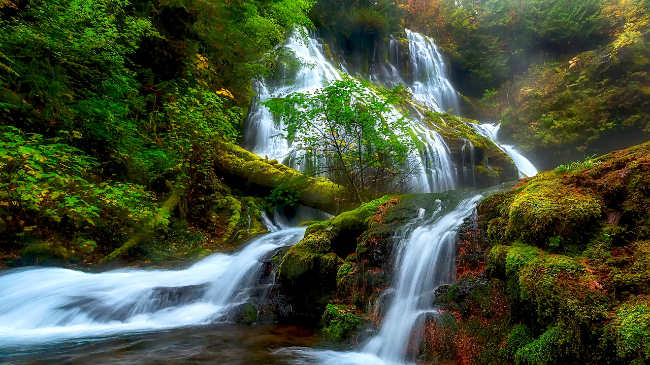 Water Falls in The Forest. Wallpaper in 1280x720 Resolution