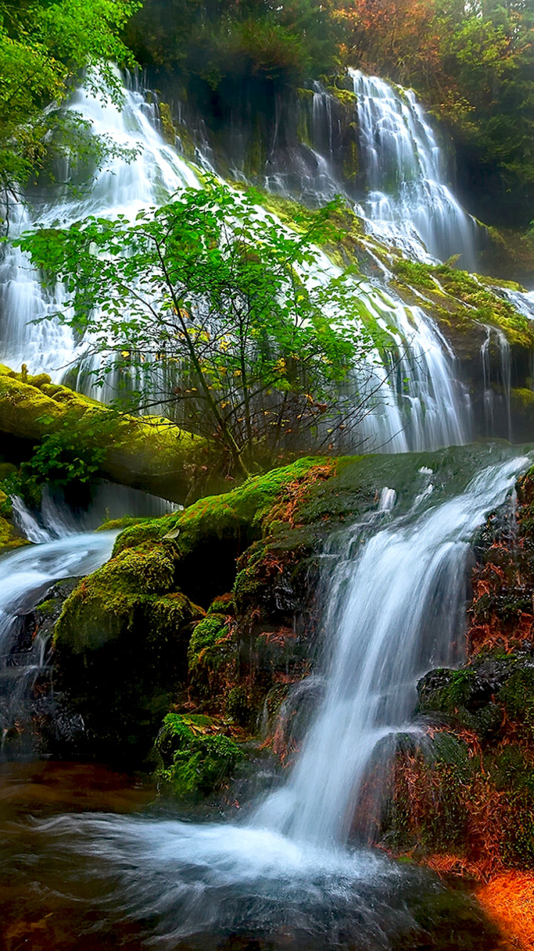 Water Falls in The Forest. Wallpaper in 750x1334 Resolution