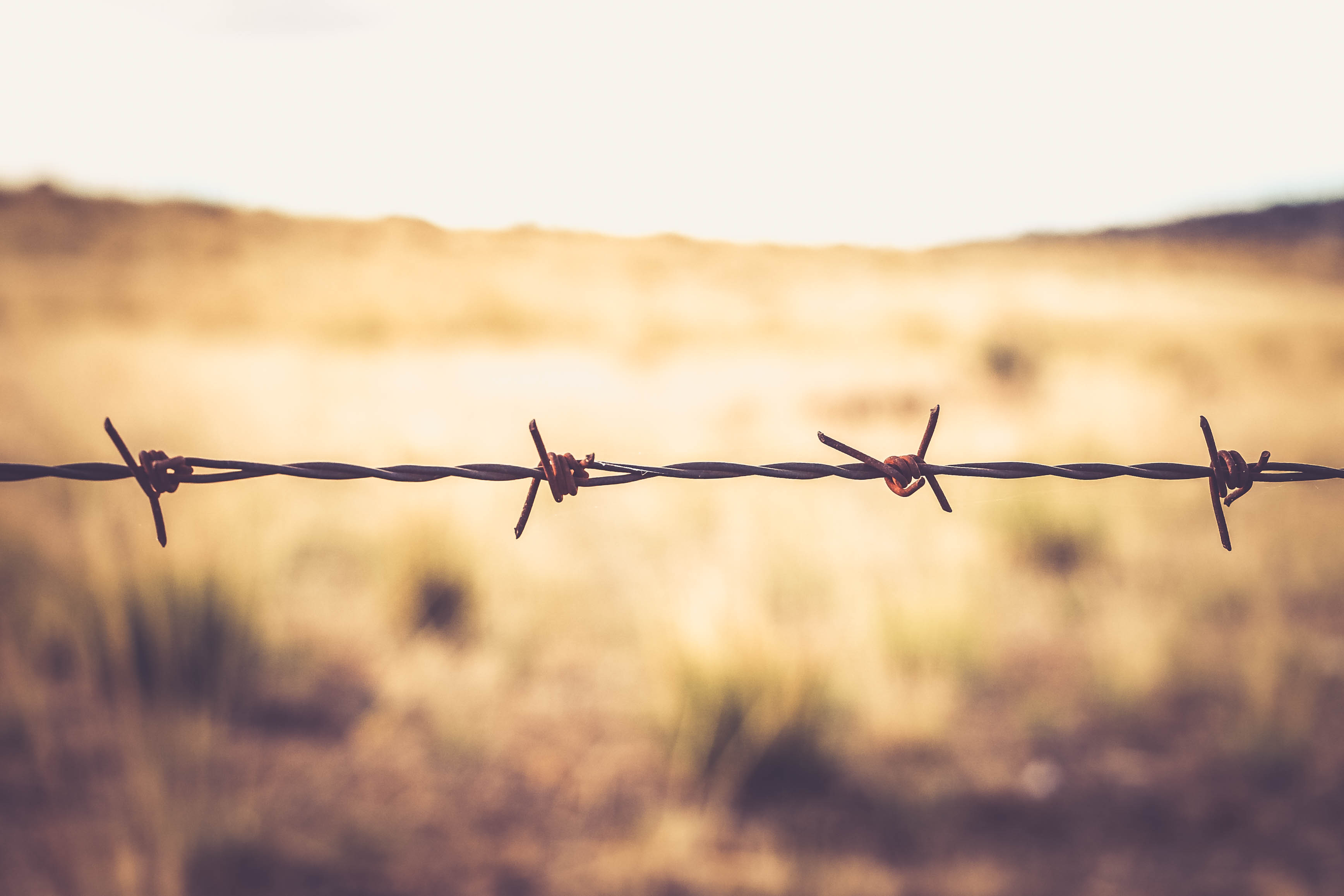 Barbed Wire Wallpaper by SilverNecklace on DeviantArt