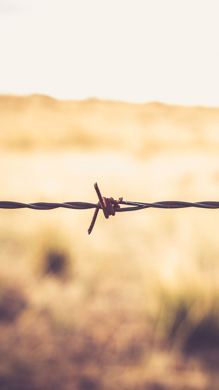 Gray Barbwire in Tilt Shift Lens. Wallpaper in 720x1280 Resolution