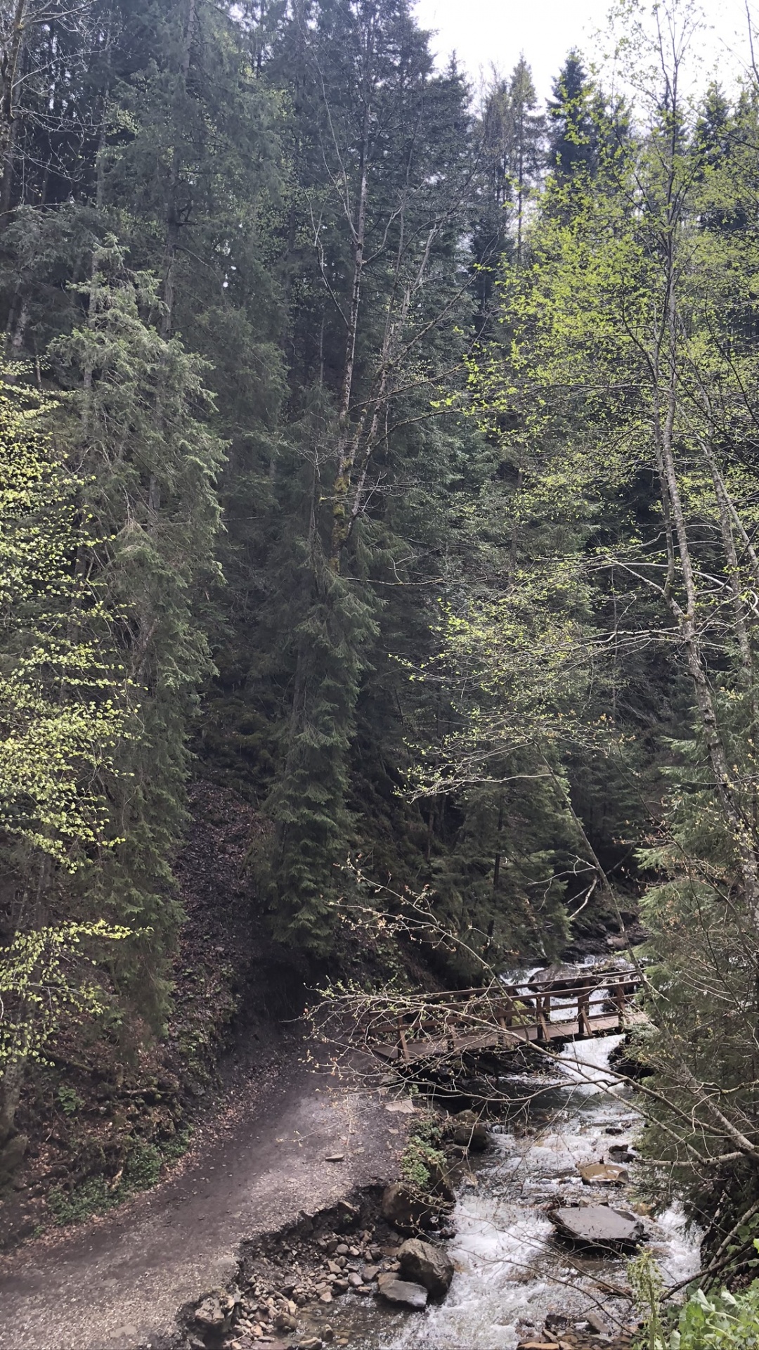 Carpathian Mountains, Nature Reserve, Water, Body of Water, Road. Wallpaper in 1080x1920 Resolution