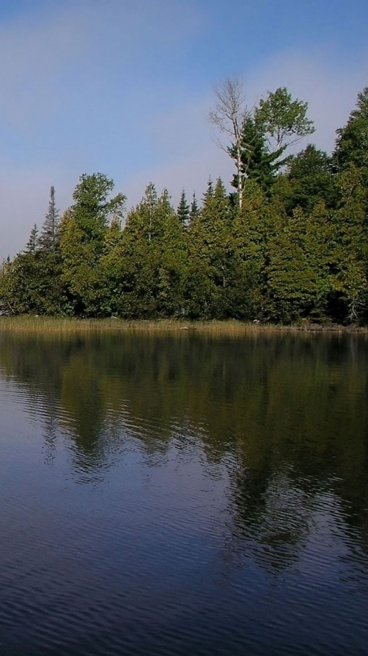 Green Trees Beside Body of Water Under Blue Sky During Daytime. Wallpaper in 750x1334 Resolution