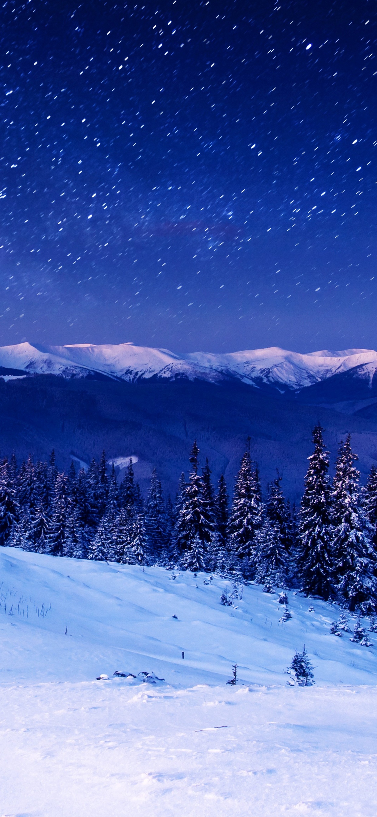 Schneebedeckte Kiefern Und Berge Während Der Nacht. Wallpaper in 1242x2688 Resolution