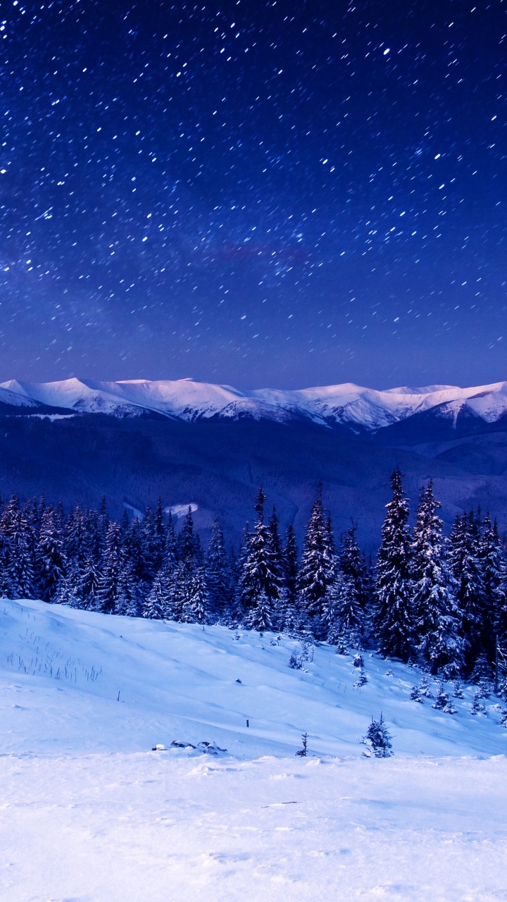 Pins et Montagnes Couverts de Neige Pendant la Nuit. Wallpaper in 720x1280 Resolution