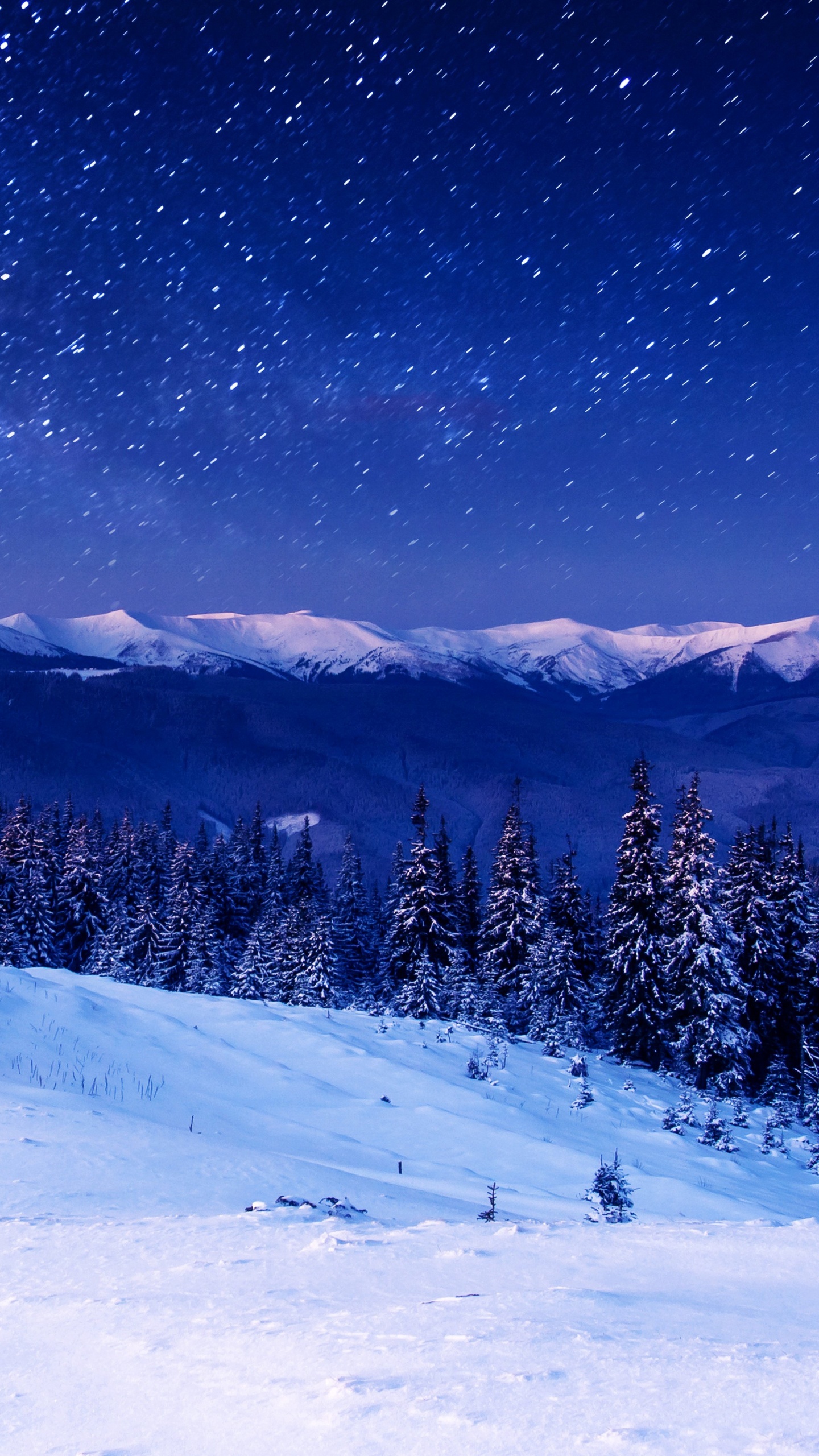 Snow Covered Pine Trees and Mountains During Night Time. Wallpaper in 1440x2560 Resolution