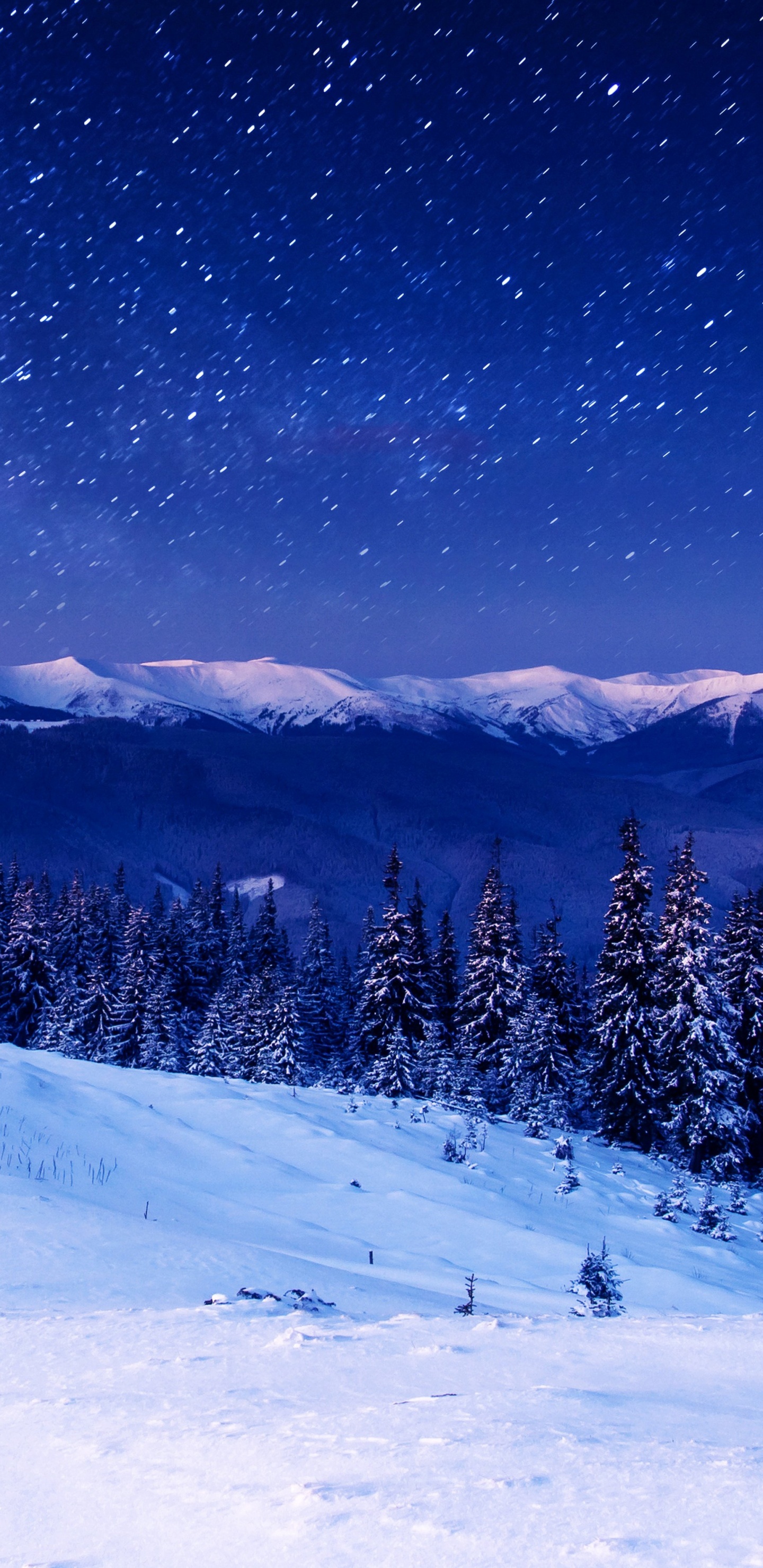 Snow Covered Pine Trees and Mountains During Night Time. Wallpaper in 1440x2960 Resolution