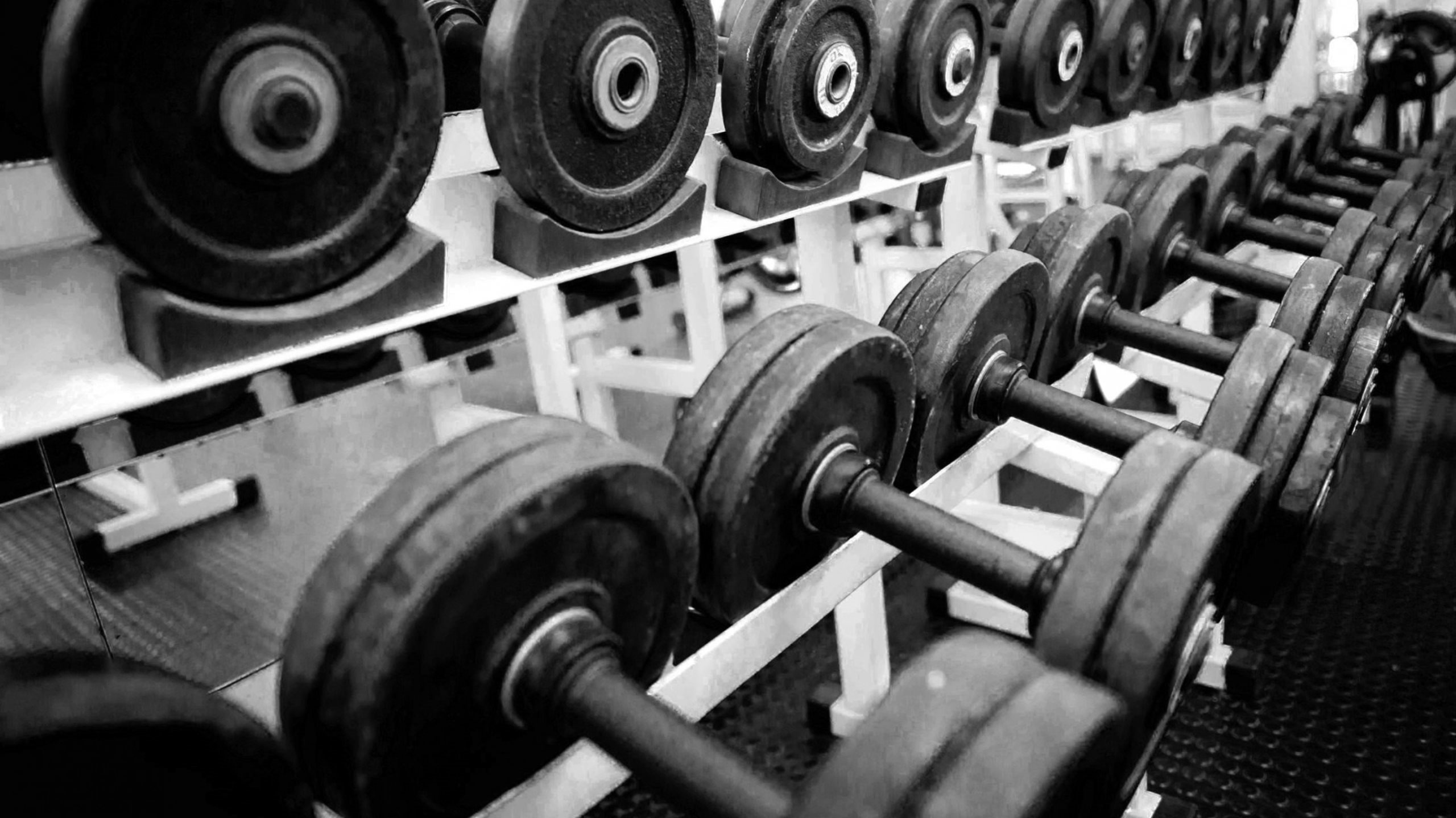 Black Dumbbell on White Wooden Rack. Wallpaper in 2560x1440 Resolution