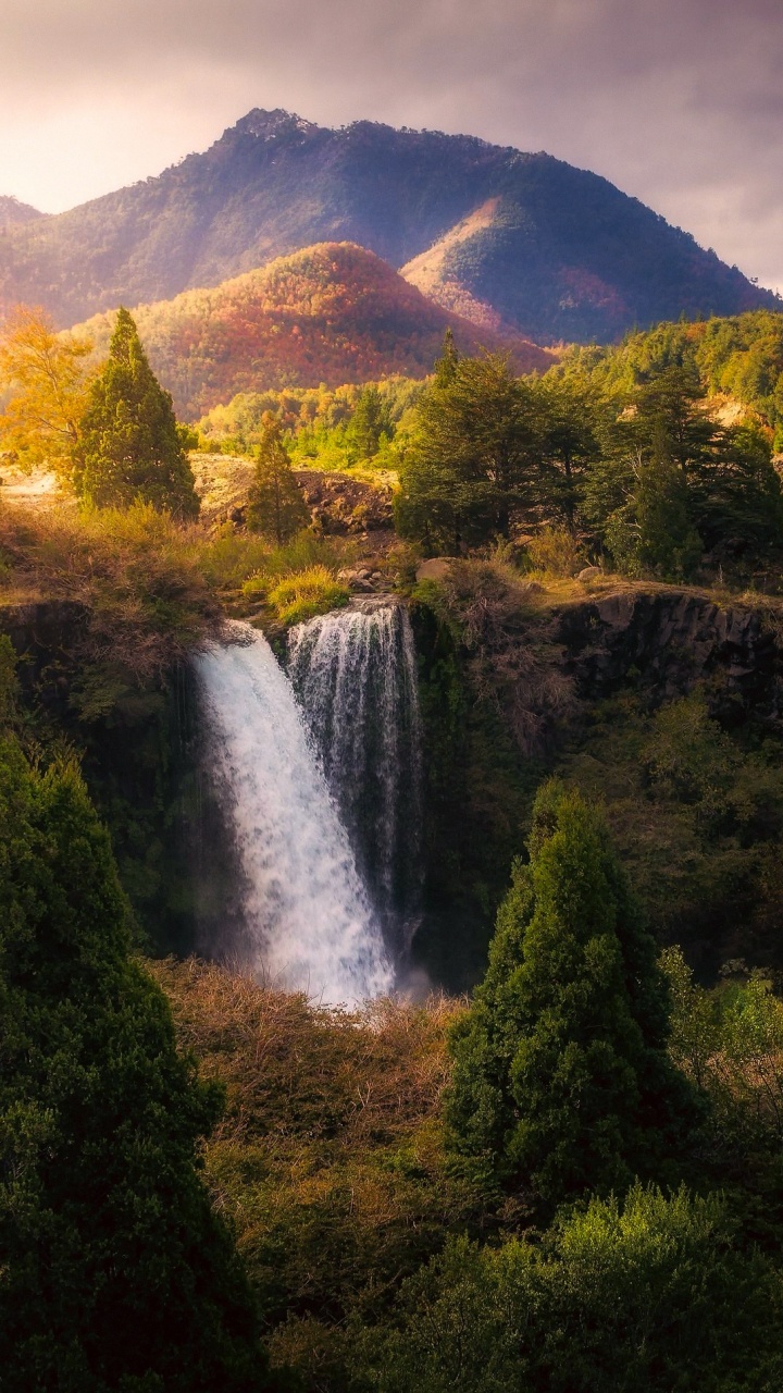 Cascades au Milieu Des Montagnes Verdoyantes. Wallpaper in 720x1280 Resolution
