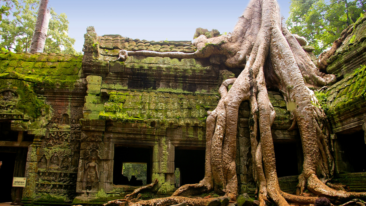 吴哥窟, 寺庙, 古代历史, 历史站, 建筑 壁纸 1280x720 允许