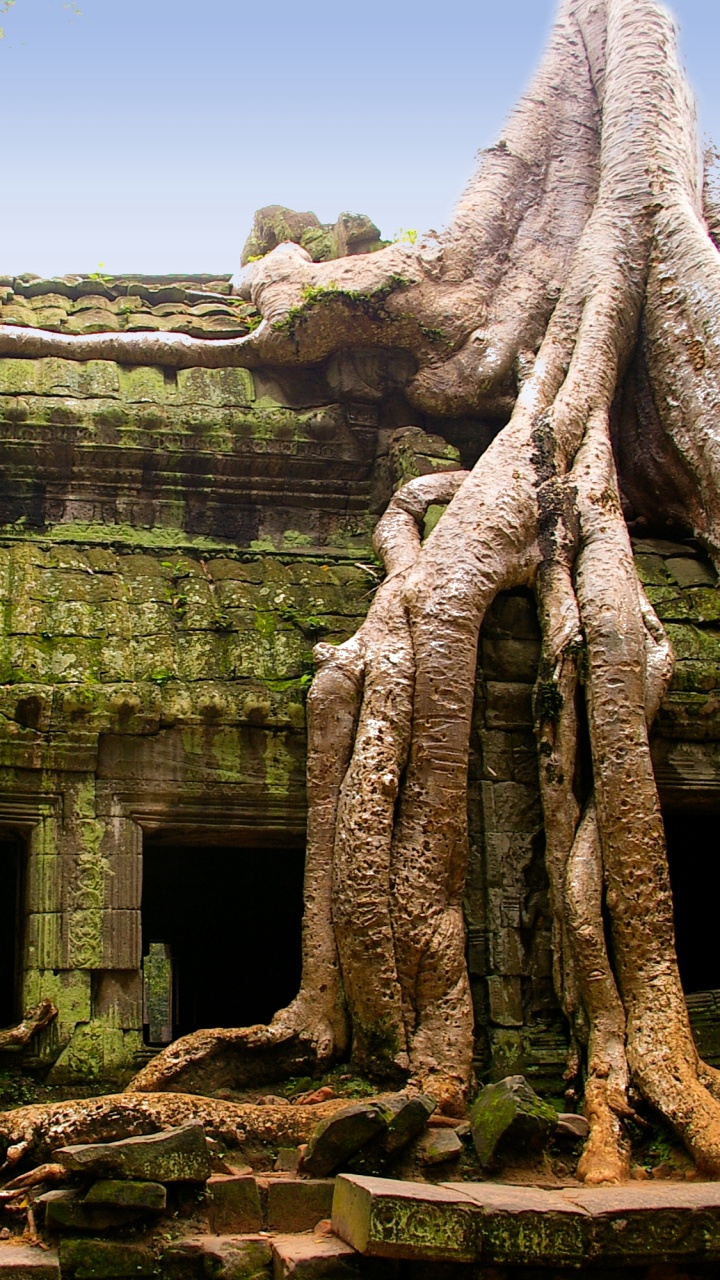 Formación de Roca Marrón Bajo un Cielo Azul Durante el Día. Wallpaper in 720x1280 Resolution